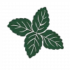 Illustration von drei dunkelgrünen Blättern mit sichtbaren Blattadern.